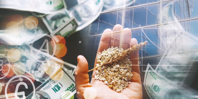 Küresel gücün yeni silahı tohumlar