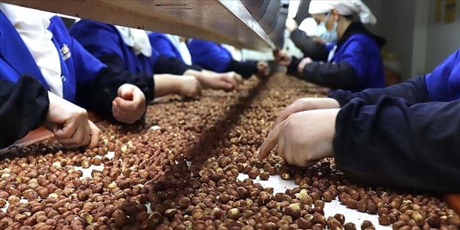 Üç bakanlığın koordinasyonunda fıstık sektörü denetlendi