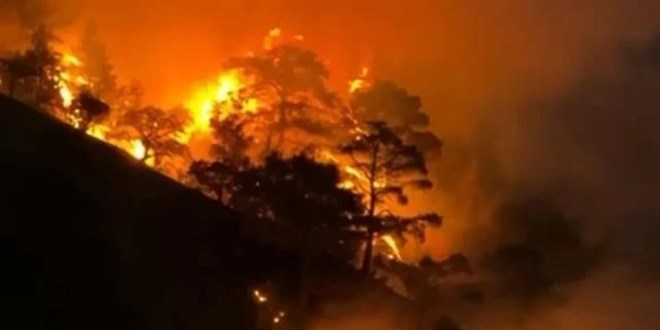 Denizli'deki orman yangını Aydın'a sıçradı