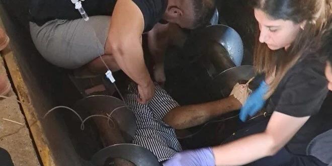 Yem karma tankına düşen işçi 1 saatte kurtarıldı!
