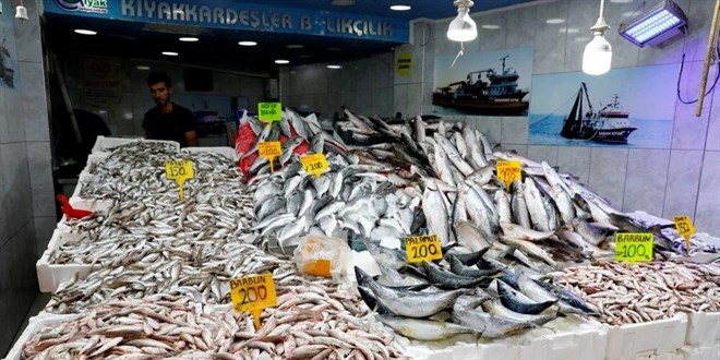 Hamsi tezgahta 200-300 liradan satılıyor