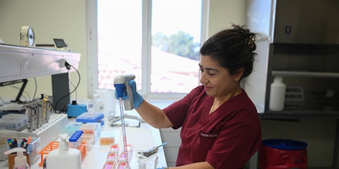 Şap hastalığına karşı 15 milyon doz aşı sahaya sevk edilecek