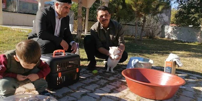Sahip çıktığı kedileri leğende yıkayan imam hayvan sevgisiyle örnek oluyor