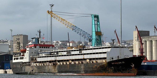 Tahliye edilemeyen ithal hayvan gemisi krizi: Şehir kötü kokuya teslim oldu