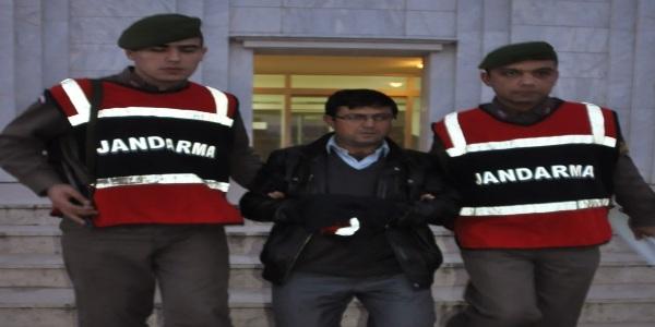 Tilki sandığı teyzesini öldürdü