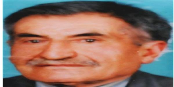 Odun keserken testerenin üzerine düşüp öldü