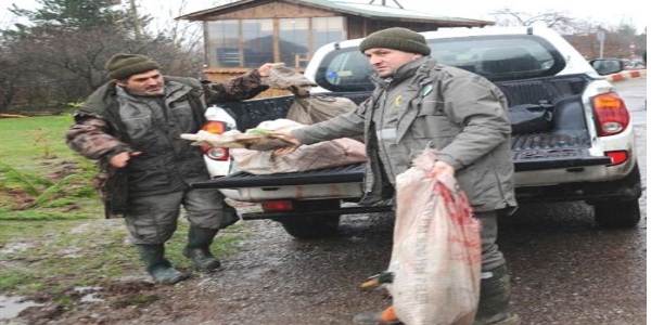Kaçak avcıların yakaladığı ördekler doğaya bırakıldı