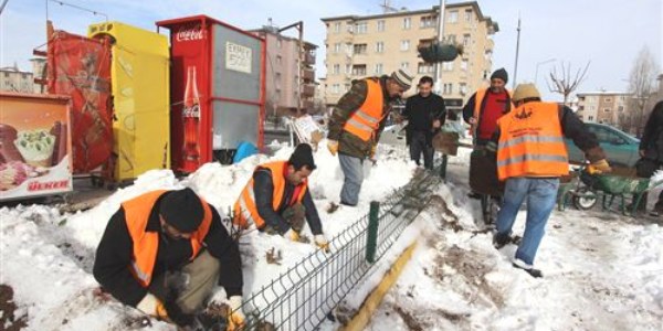 Zemheride çiçek dikiliyor