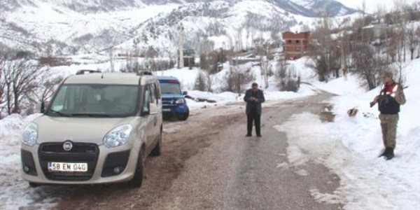 Budadığı ağaçtan düşüp öldü