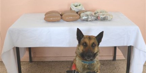Bingöl'de 9 kilo esrar ele geçirildi