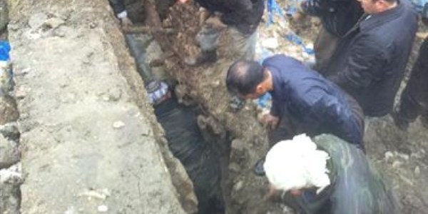 emdinli'de heyelan: 2 bykba hayvan telef oldu