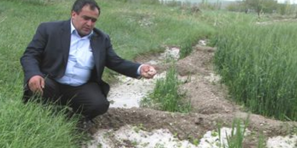 Çiftçilere tarım sigortası uyarısı