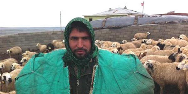 Kimlik fotokopisini veren çobana borç üstüne borç geldi