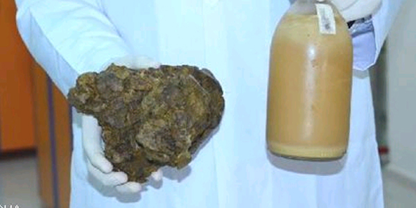 Hastalıkların doğal düşmanı, propolis