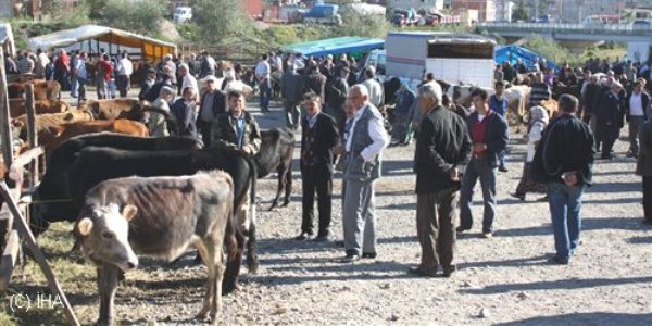 Giresun'da hayvan pazarı karantina altına alındı