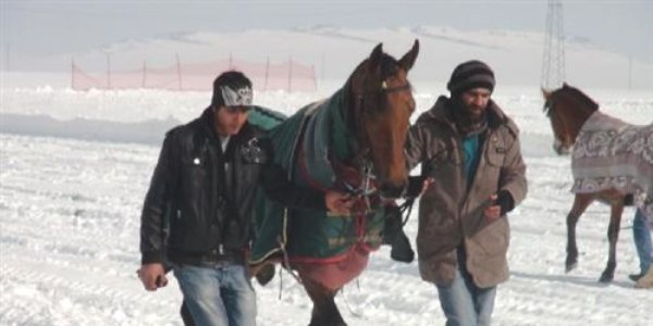 Kar üstünde cirit gösterisi