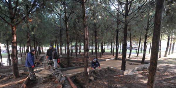 Çanakkale'de yeni piknik alanı oluşturuluyor