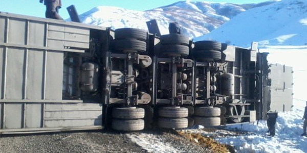 Bitlis'te trafik kazası: 4 inek telef oldu