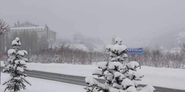 Erzurum'da yoğun sis uçak seferlerinde rötar yaptırdı