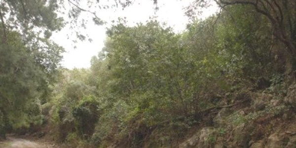 Kuşadası Milli Park'ta ceset aranıyor