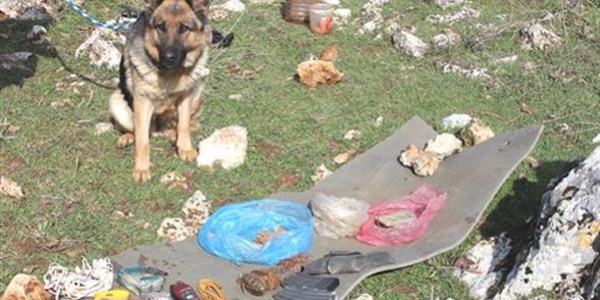 PKK'nın cephanesini jandarma köpeği 'akım' ortaya çıkardı