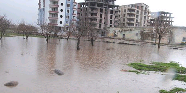 Siverek'te tarım arazileri sular altında kaldı