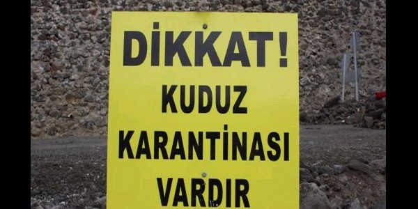 Nevşehir'in Yeniyaylacık Köyü'nde kuduz karantinası