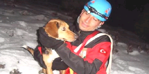 Uçurumda mahsur kalan köpeği akut kurtardı