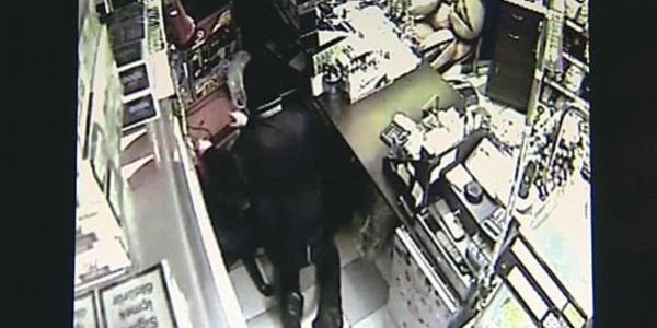 Kar maskeli hırsız kıskıvrak yakalandı