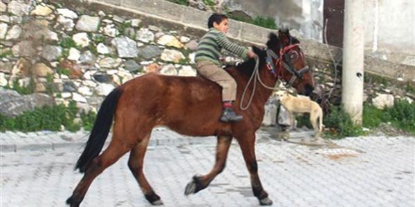 10 yaşındaki atlı kovboy
