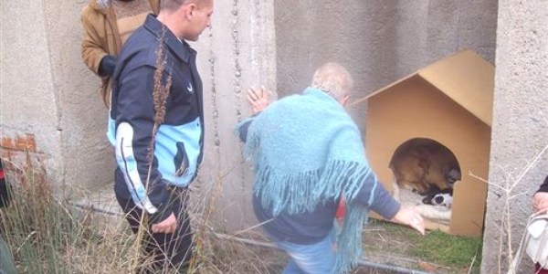Çandarlı Belediyesi, hayvansever suçlamalarından rahatsız