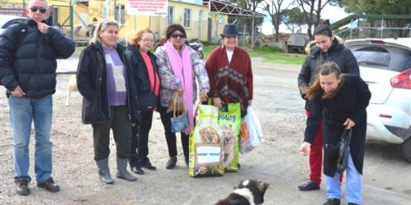 Sokak hayvanları için imamlardan vaaz istiyorlar