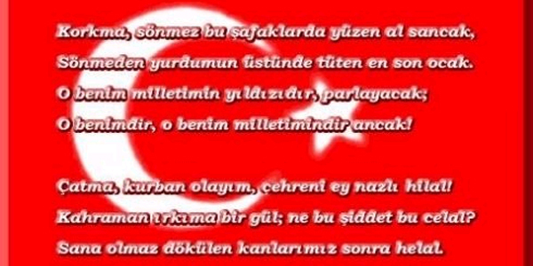 Sokak köpeği İstiklal Marşı'na uluyarak eşlik etti
