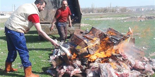Otobüsün bagajından kaçak et çıktı