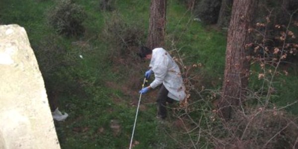 Niksar'da 4 el bombası bulundu