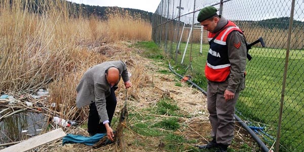 İç sularda balık avı yasağı başlıyor