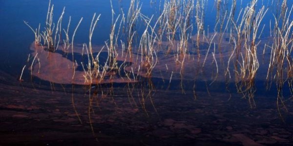 Sapanca Gölü'ndeki kızıllık, içme suyu için tehlike değil