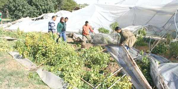 Mersin'de fırtına seraları yıktı
