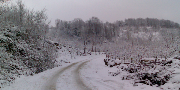 Hakkari'de kar ve frtnadan dolay 7 vatanda yolda mahsur kald