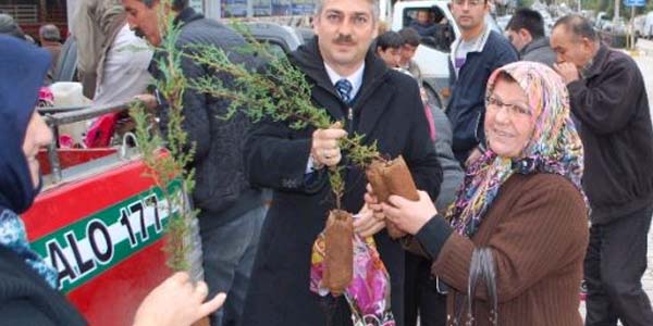 Söke'de 33 bin 750 fidan dağıtıldı