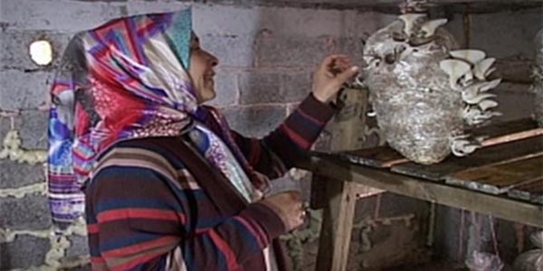 Mikrokredi ile hayatı değişti