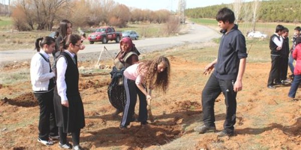 Beyşehir'de öğrenciler fidan dikti