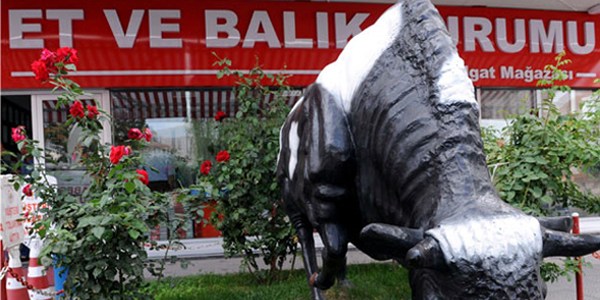 60 puan alamayan Et Balık mağazası kapatılacak