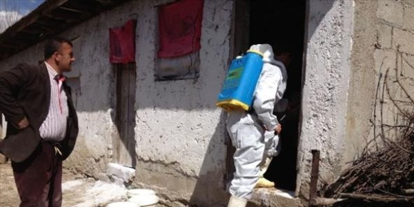 Sofular Beldesi'nde şap hastalığı görüldü