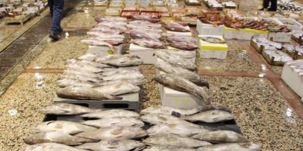 2 günde 8 ton balığa el konuldu