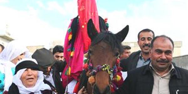 At sırtında gelin getirme geleneğini yaşattılar