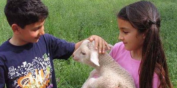 Çocukların 'ekolojik' çiftliği olacak