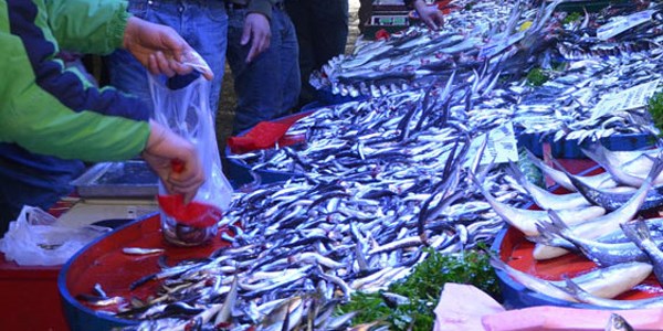 Tarım Bakanlığı'ndan 'zehirli balık' iddialarına cevap