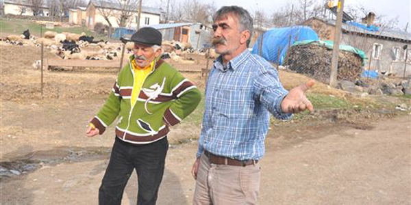 Tunceli'de şap salgını