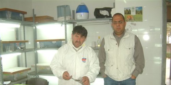Zararlı böceğe karşı böcekli mücadele